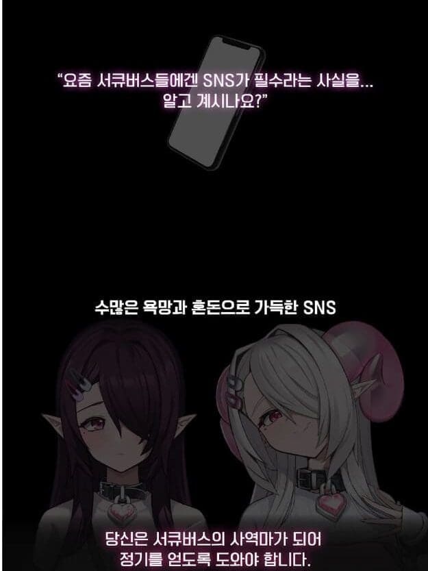 서큐하트 시놉시스 